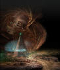 Bizarre fractal creatures looming over an immense steep-sided pyramid, in a dark land.